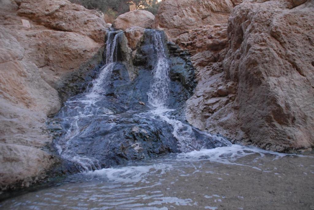 Ein Gedi Rooms Neve Zohar Luaran gambar