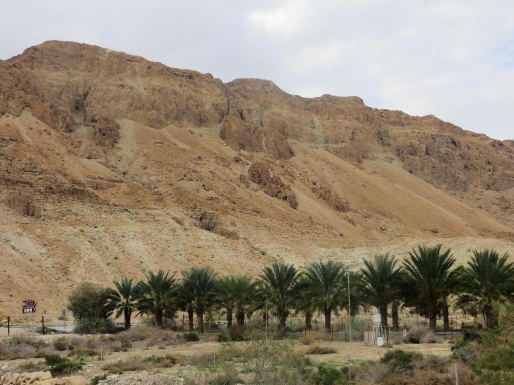Ein Gedi Rooms Neve Zohar Luaran gambar