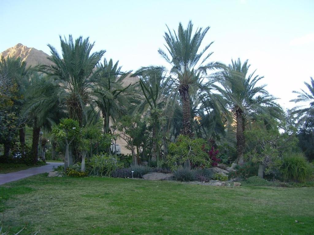 Ein Gedi Rooms Neve Zohar Luaran gambar