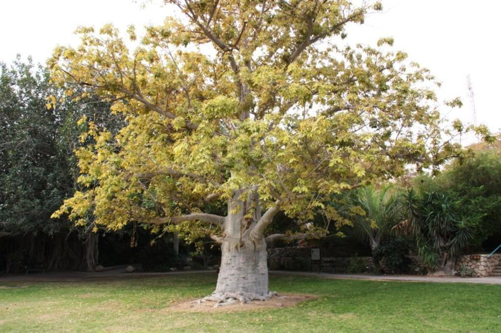 Ein Gedi Rooms Neve Zohar Luaran gambar