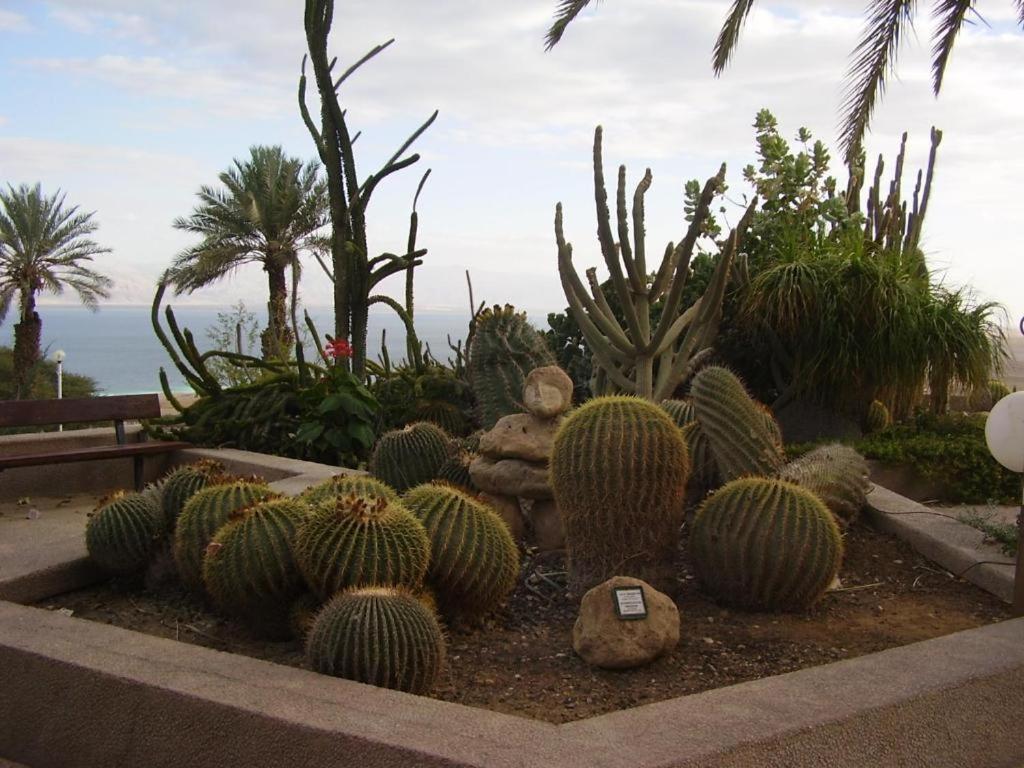 Ein Gedi Rooms Neve Zohar Luaran gambar